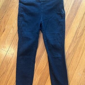 Ann Taylor Blue Jeggings with Stretchy Comfort
